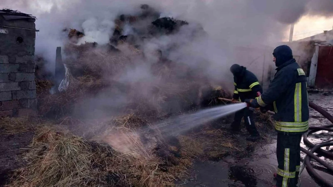 Kars'ta otomobil yanarak kül oldu