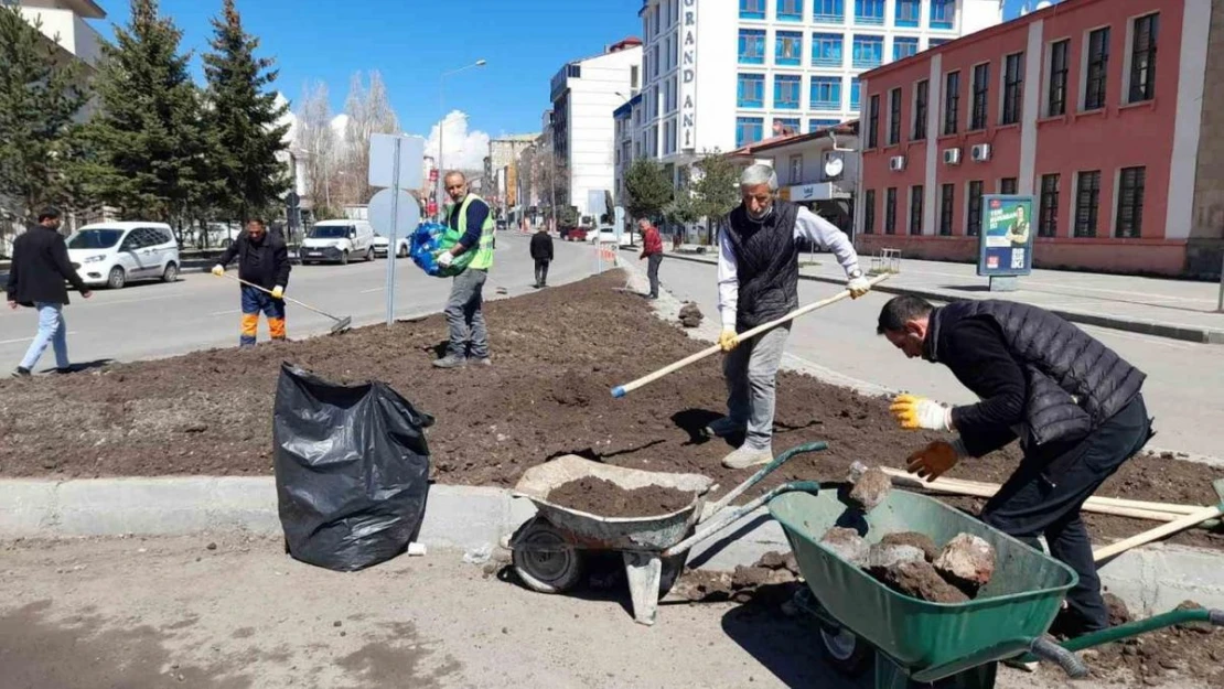 Kars'ta park, bahçe ve refüjler çiçek açıyor