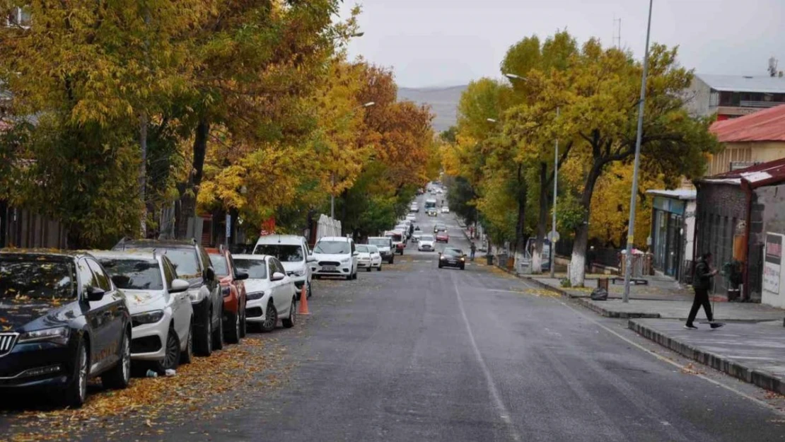 Kars'ta renk cümbüşü yaşanıyor