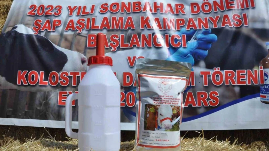 Kars'ta Sonbahar Dönemi Şap Aşılama kampanyası başladı