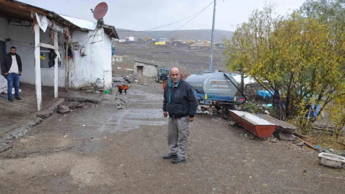 Kars'ta torunlarının tedavisini karşıladıkları inekler çalındı