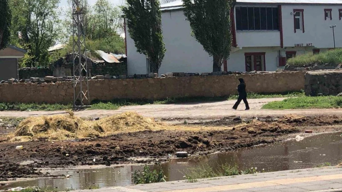 Kars'ta yol kenarına dökülen gübreler insan sağlığını olumsuz etkiliyor