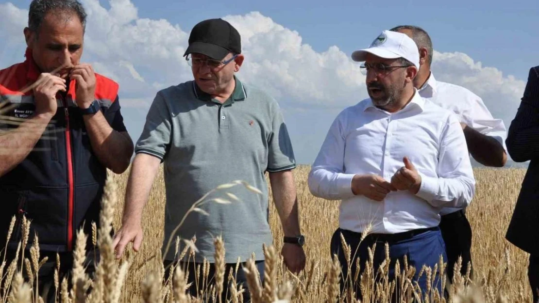 Kars'ta yüzde 50 hibeyle dağıtılan tohumlar tarlalara ekildi