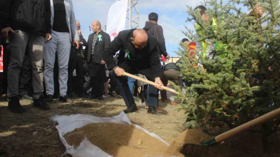 Kastamonu'da 25 bin fidan toprakla buluşturuldu