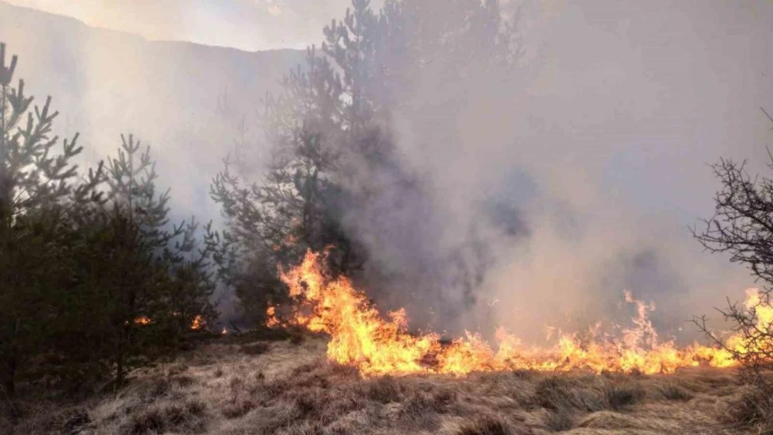 Kastamonu'da ormanlık alanda çıkan yangın söndürüldü