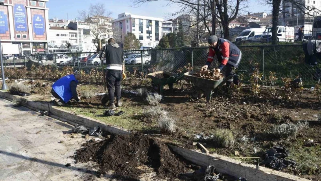 Kdz. Ereğli lavanta kokacak