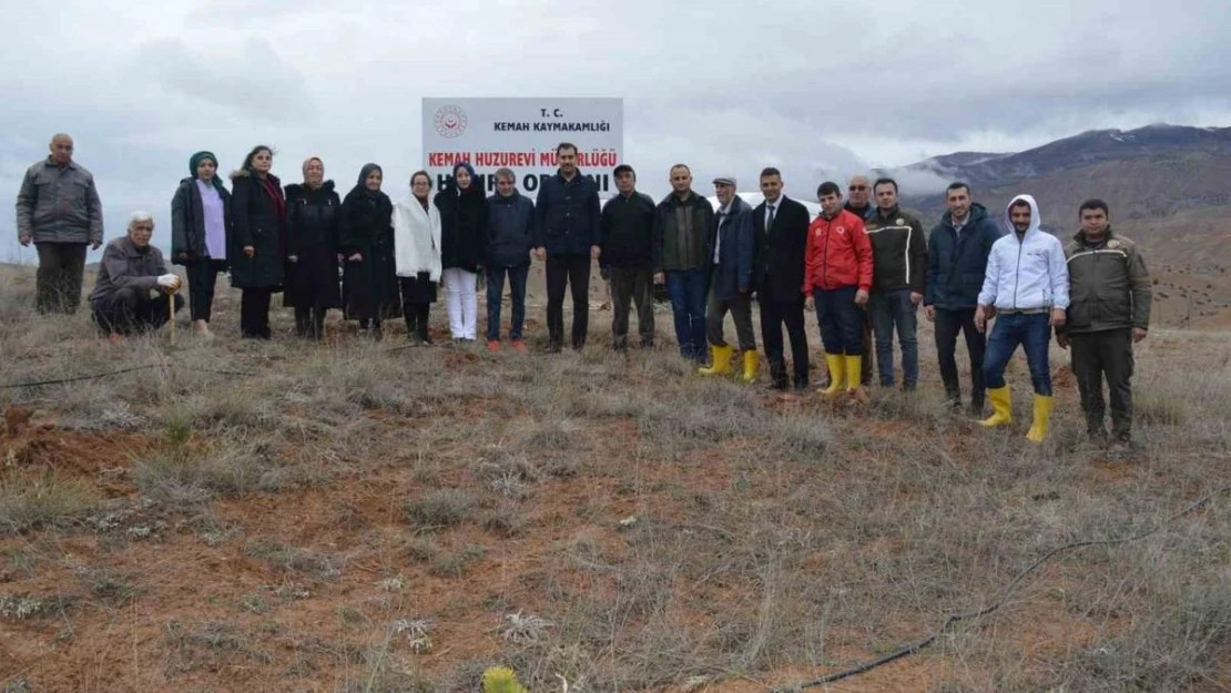 Kemah'ta fidan dikim etkinliği düzenlendi