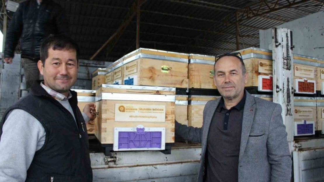 Kemer'de arı üreticilerine kovan desteği