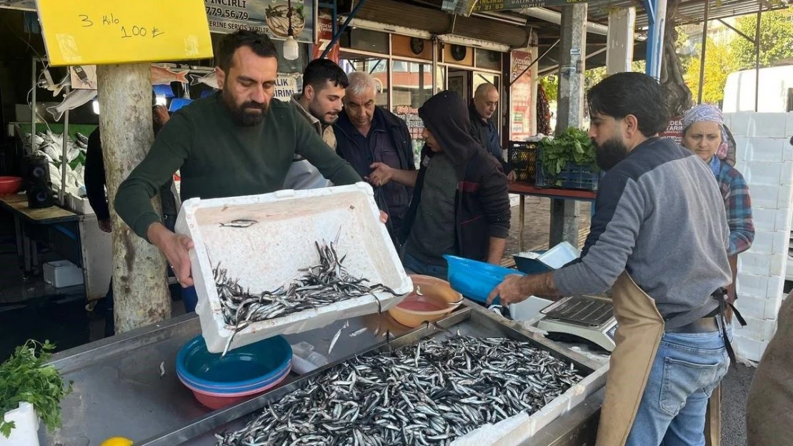 Kilis'te balık tezgahlarını Karadeniz hamsisi süslüyor