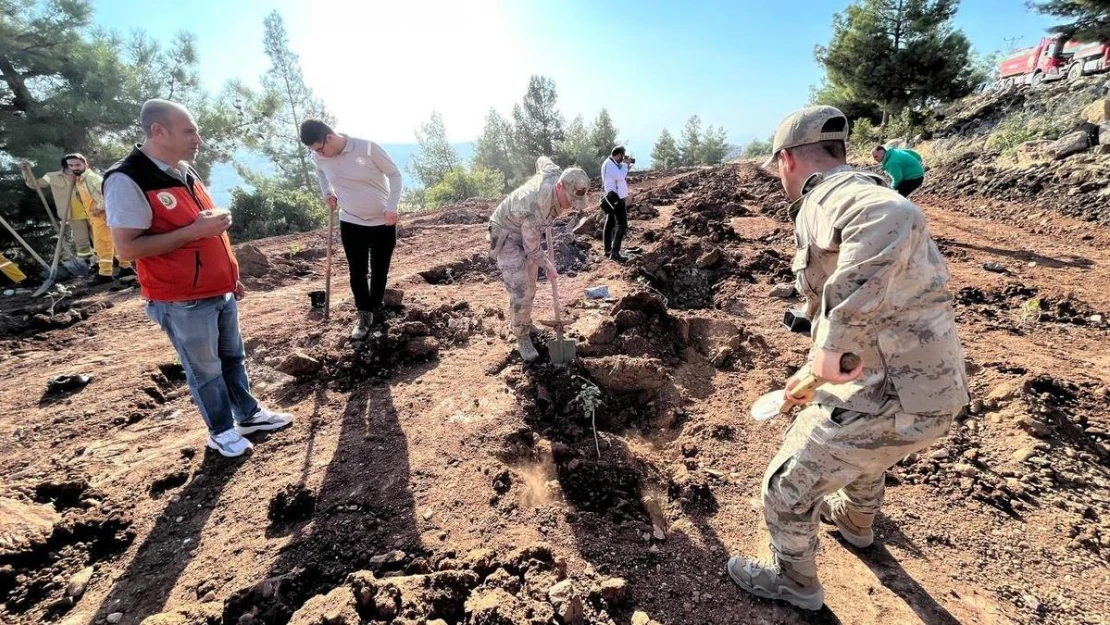 Kilis'te Cumhuriyet'in 100'üncü yılı anısına 100 öğrenci yüz fidan dikti