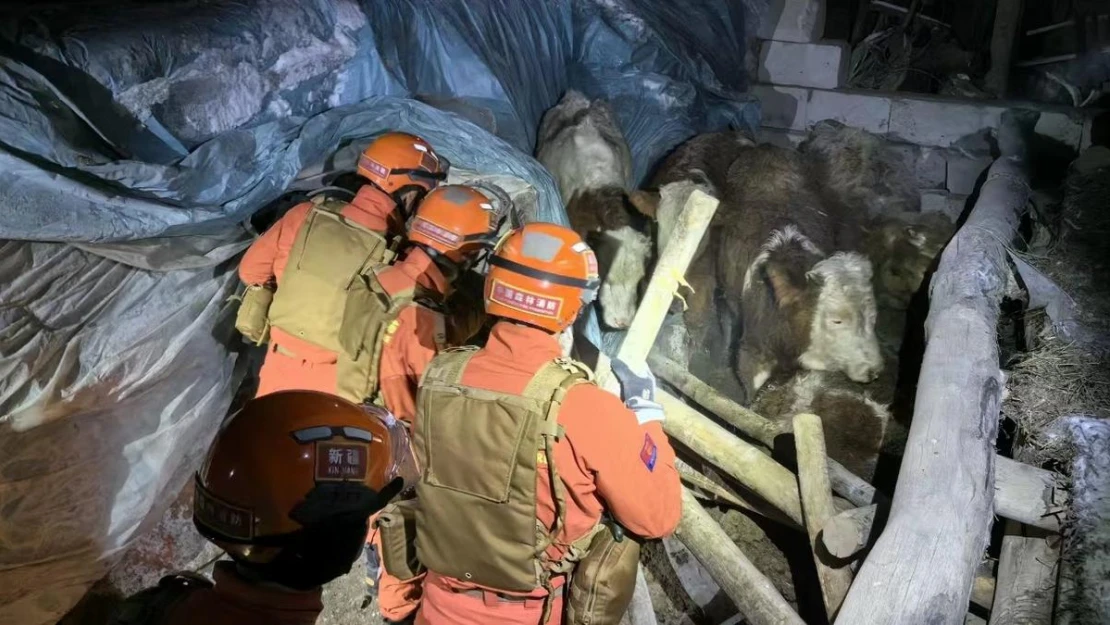 Kırgızistan-Çin sınırındaki depremde 3 Çinli öldü