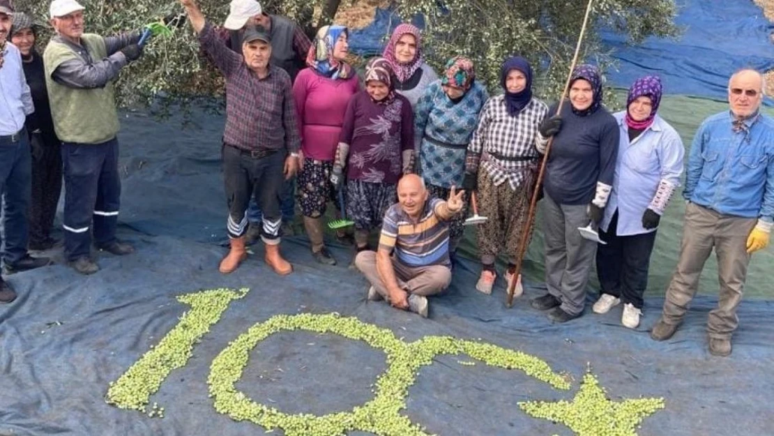 Kırkağaçlı çiftçiler topladıkları zeytinlerden 100. Yıl logosu yaptı