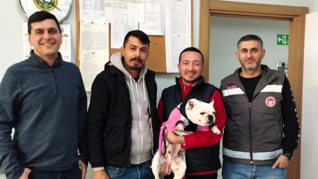 Kırklareli'de kaybolan köpek çip sayesinde bulundu