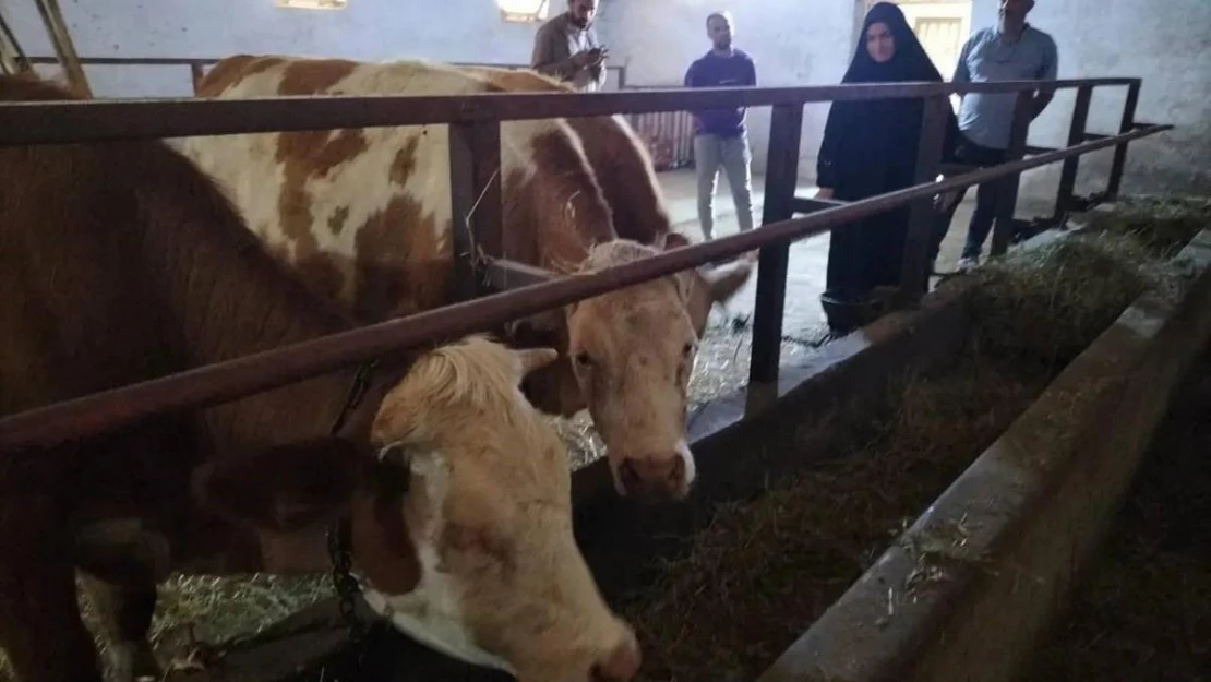 Kırsal 'Uzman Eller' ile kalkınıyor