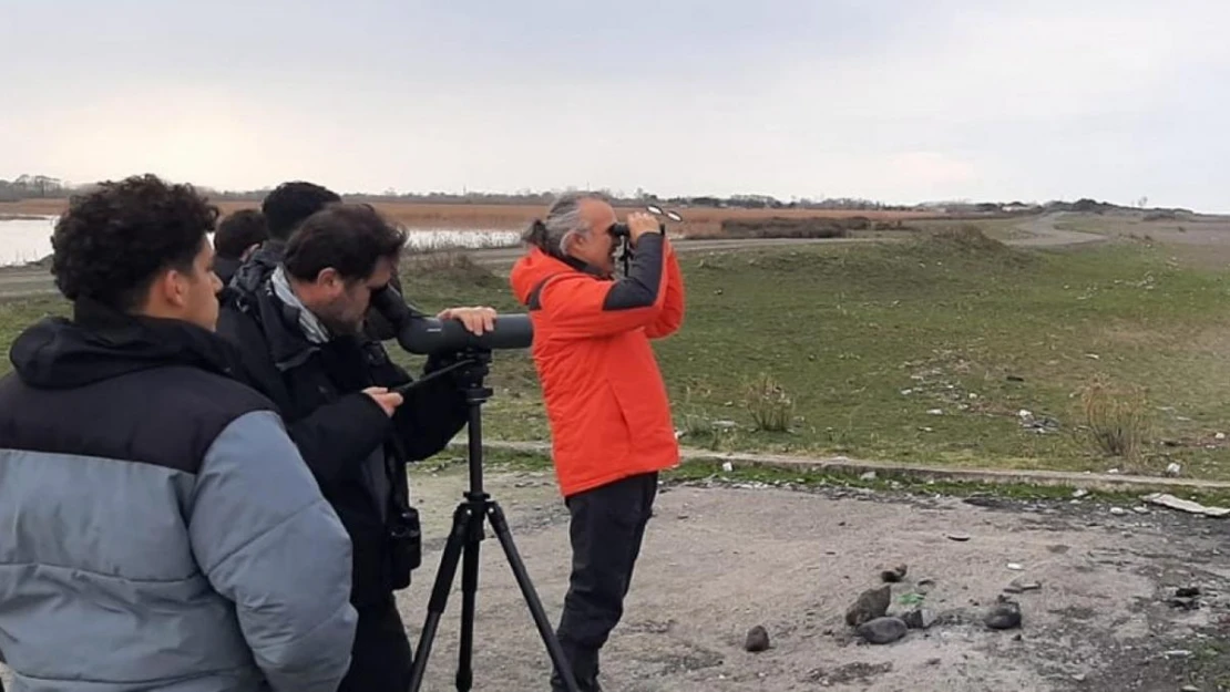 Kış ortası su kuşu sayımları yapıldı