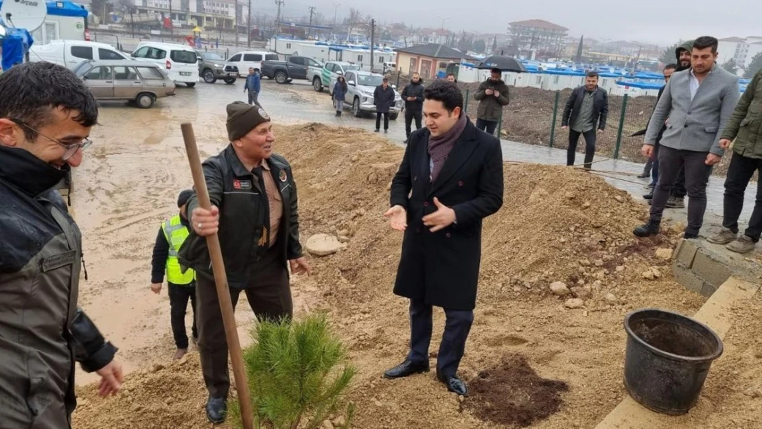 Konteyner kentte fidanlar toprakla buluşturuldu