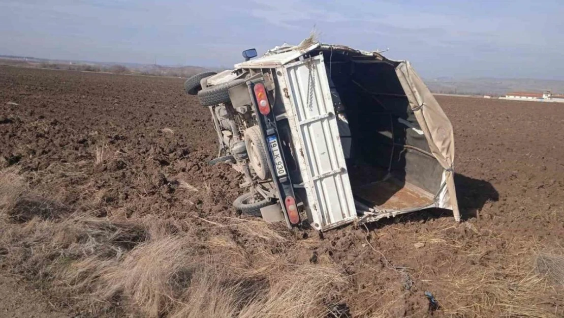 Kontrolden çıkan kamyonet tarlaya uçtu: 1 yaralı