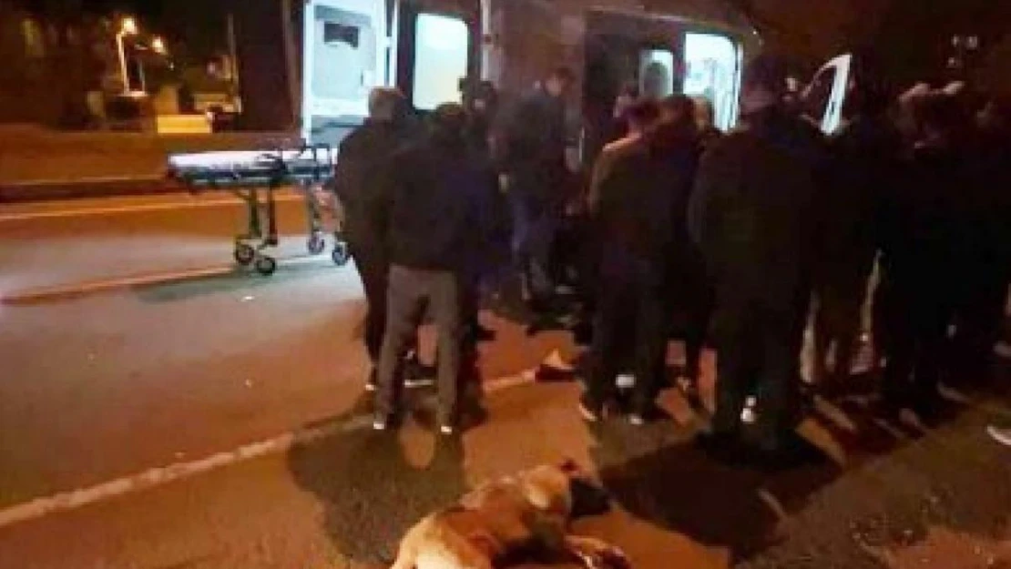 Köpeğe çarpan motosiklet sürücüsü yaralandı