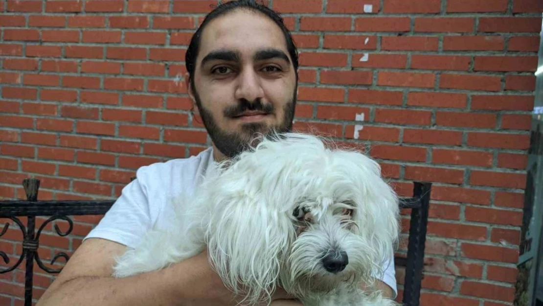 Köpeğini kaza sonucu veteriner hekime götüren gencin hastane isyanı