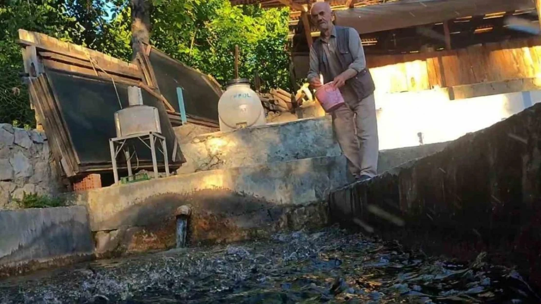 Köydeki küçük bir tesisten mütevazı restorana uzanan hikaye