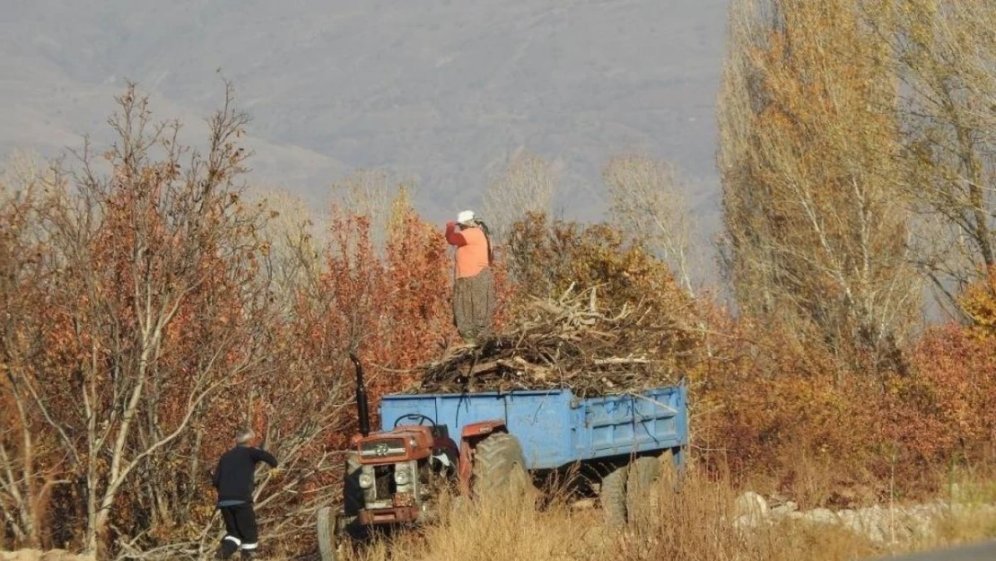 Köylerde kışlık odun hazırlığı