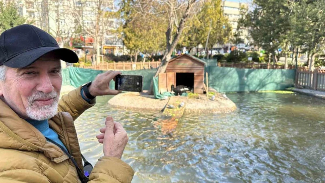 Kuğulu Park'ın yeni dünyaya gelen yavru siyah kuğularına yoğun ilgi