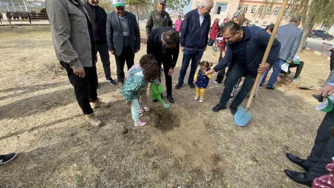 Kulu'da fidan dikim etkinliği