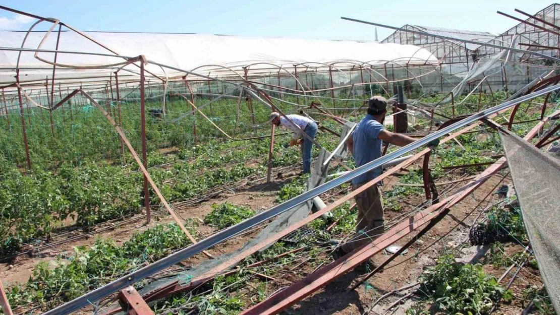 Kumluca'da hortum afetinden 265 dönüm alanda 111 üretici etkilendi