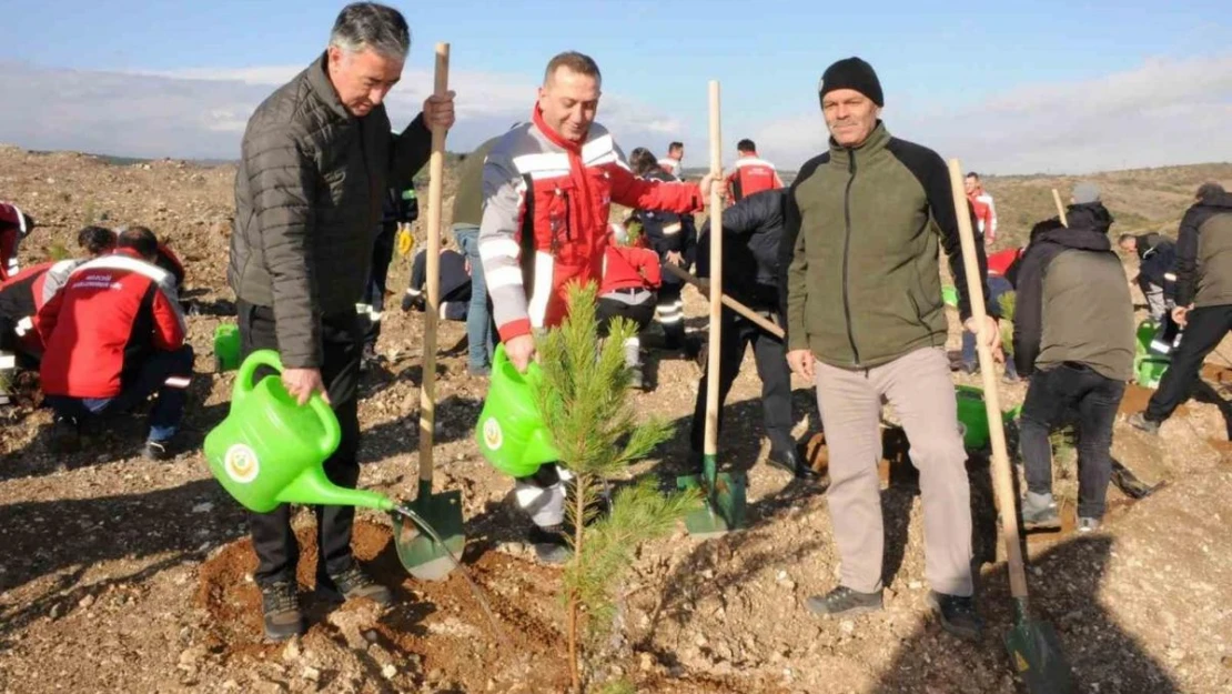 Kütahya'da maden sahasına 6 bin fidan dikildi