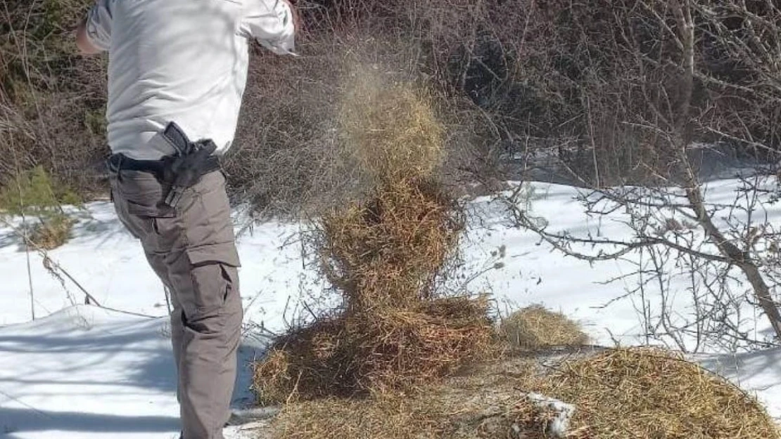 Kütahya DKMP'den yaban hayvanlarını yemleme çalışması