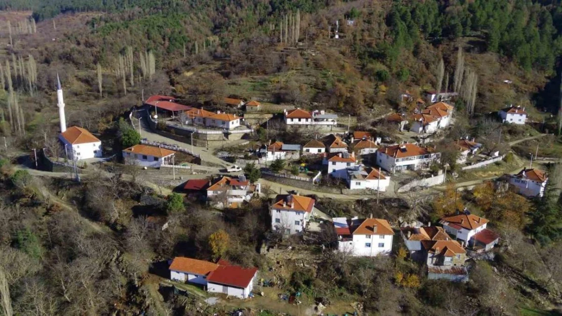 Kuyucak'taki evler tek renge büründü