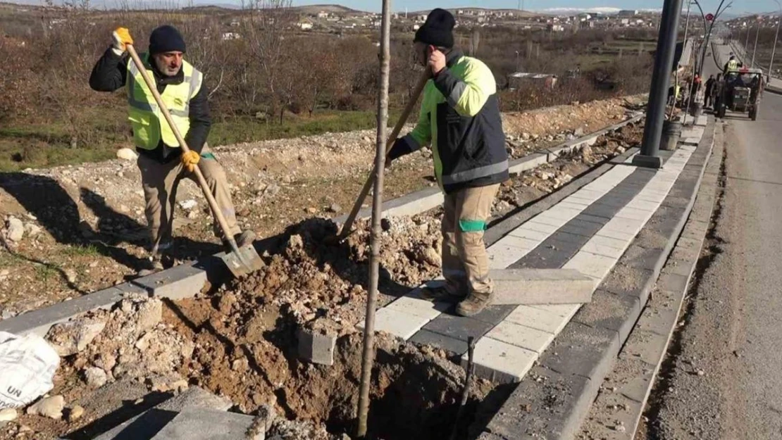 Kuzey kuşak yolunda çevre düzenleme çalışmaları