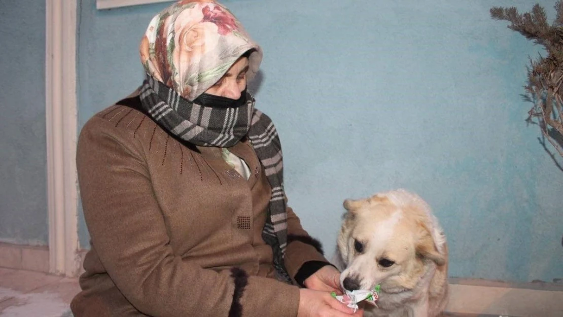 Mahallenin maskotu 'Çirkin' alkış sesi duyunca oynamaya başlıyor