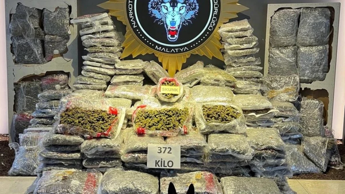 Malatya'da 372 kilo skunk ele geçirildi