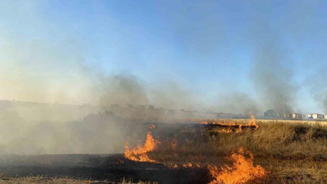 Malatya'da anız yakılması yasaklandı