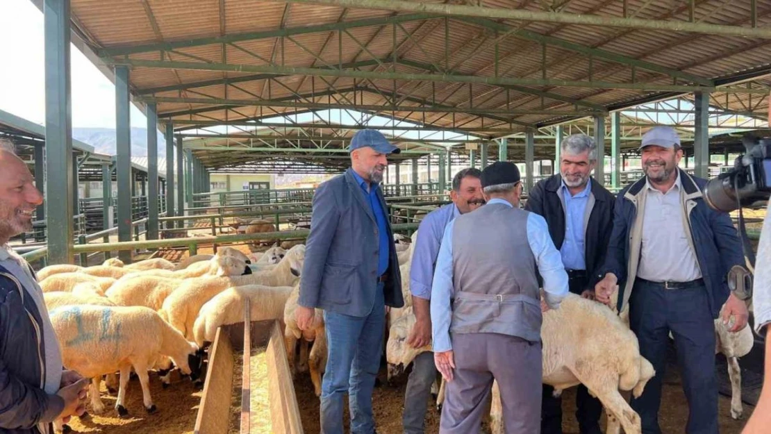 Malatya'da vatandaşlar kurbanlık almak için Arefe Günü'nü bekliyor