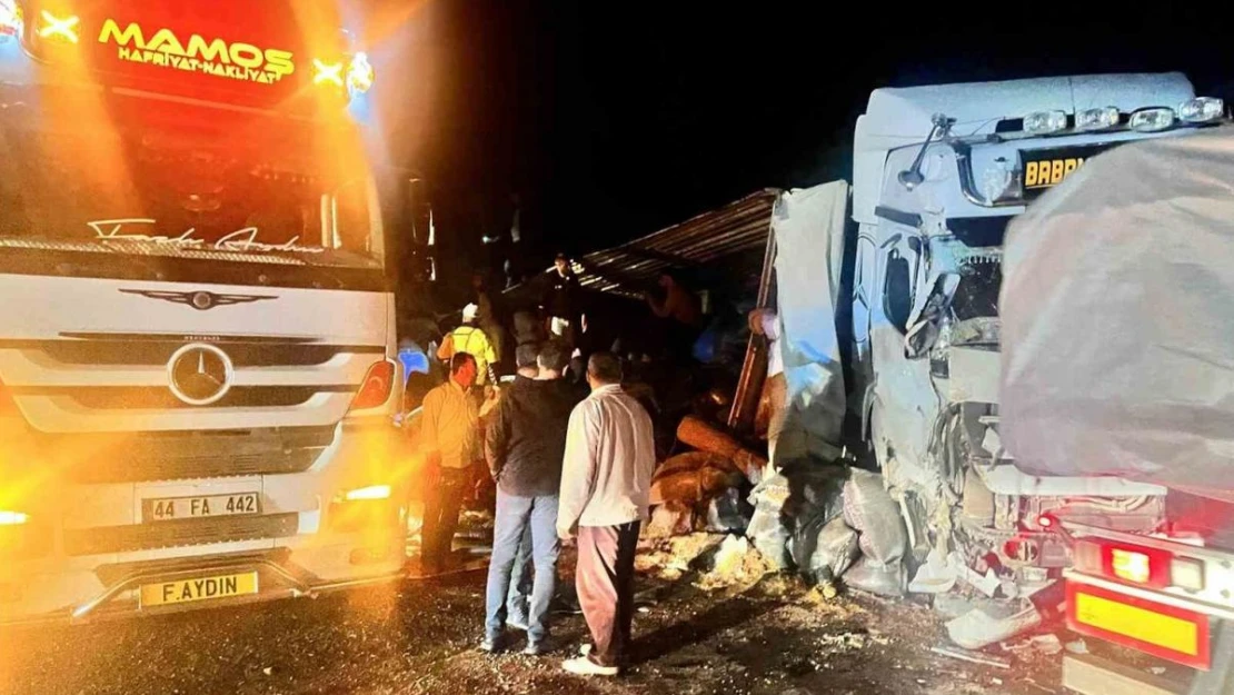 Malatya'da yem yüklü tır devrildi