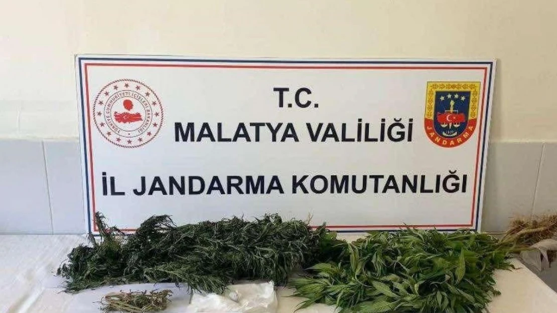 Malatya'da zehir tacirlerine geçit yok