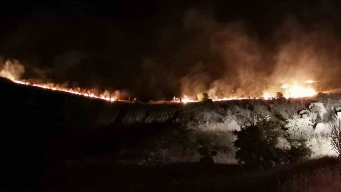 Malatya'daki orman yangını kontrol altına alındı