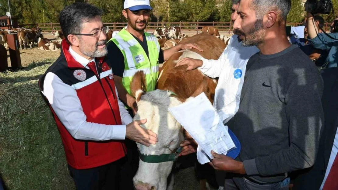 Malatyalı depremzedelere büyükbaş hayvan desteği