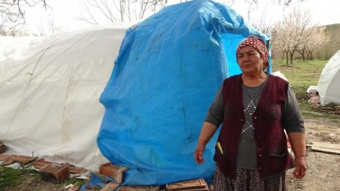 Malatyalı depremzedenin yara bandı kayısı