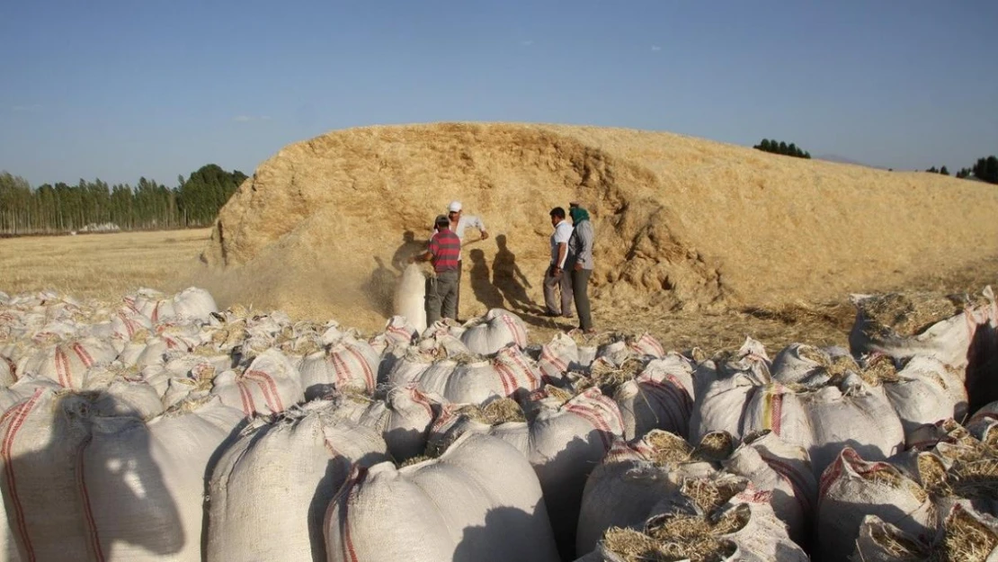 Malazgirt'te saman satışı başladı