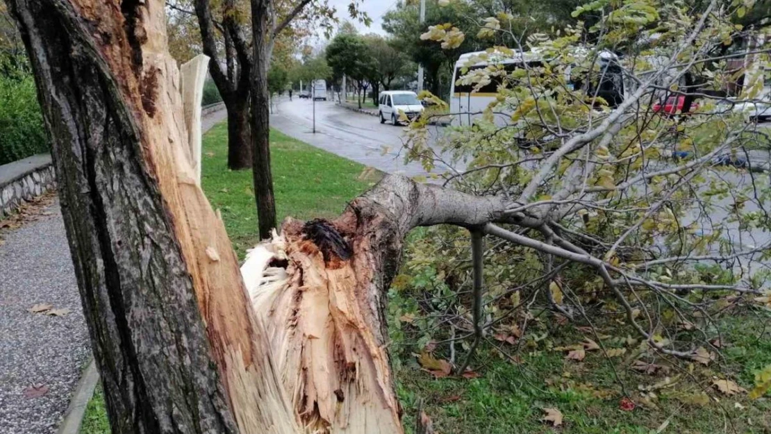 Manisa'da fırtına etkili oluyor