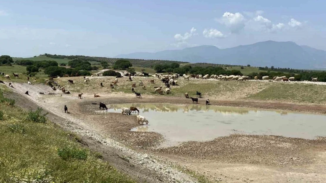 Manisa'ya 9 yılda 210 HİS Göleti yapıldı