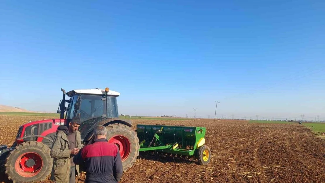 Mardin Ovası'nda buğday ekimi başladı