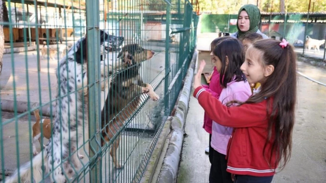 Marmaris'te patili dostlara yeni yıl ziyareti