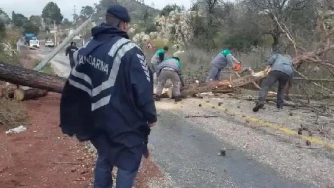 Marmaris'te sağanak yağış ve fırtına devam ediyor