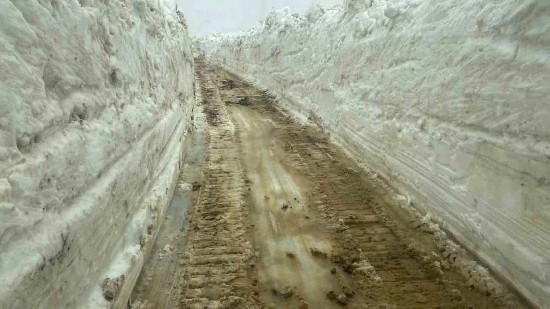 Mayıs ayında 5 metreyi bulan karda yol açma çalışması sürüyor