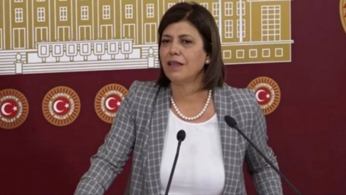 Meral Danış Beştaş kaza geçirdi