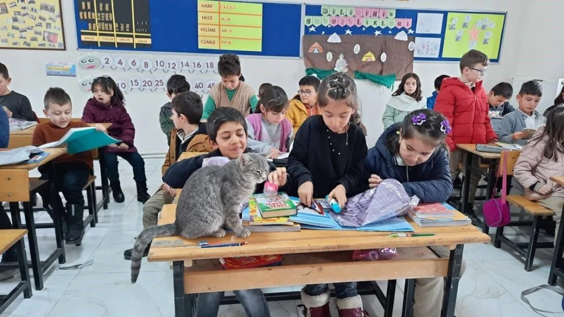 Merkez ve köy okulu öğrencileri bir araya geldi